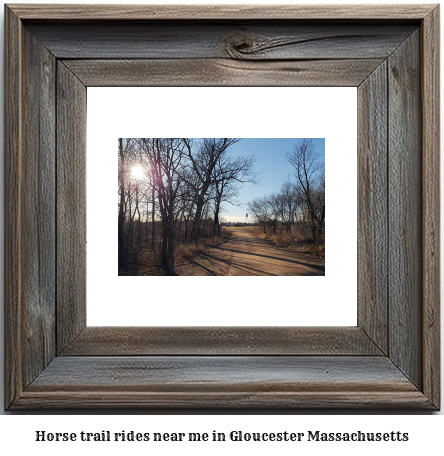 horse trail rides near me in Gloucester, Massachusetts